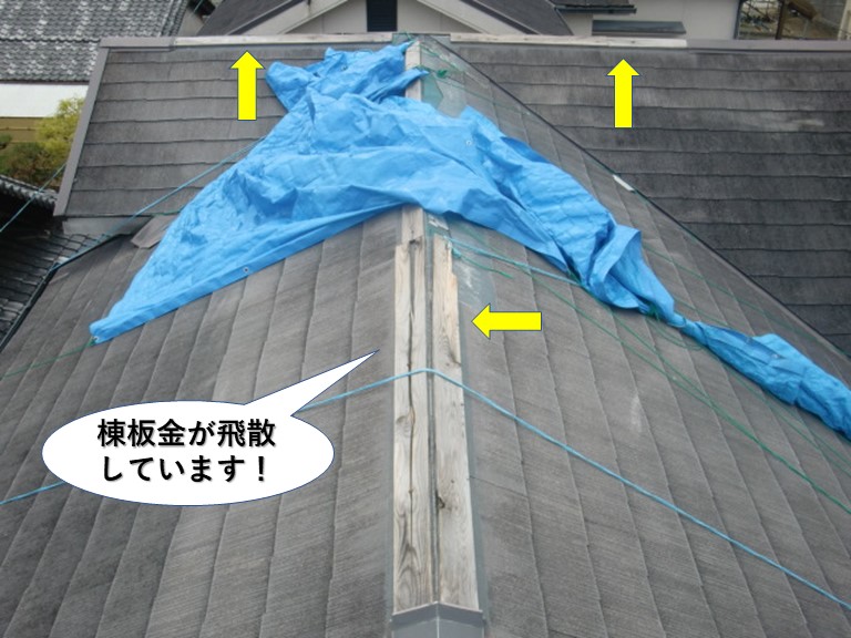 泉大津市の棟板金が飛散しています