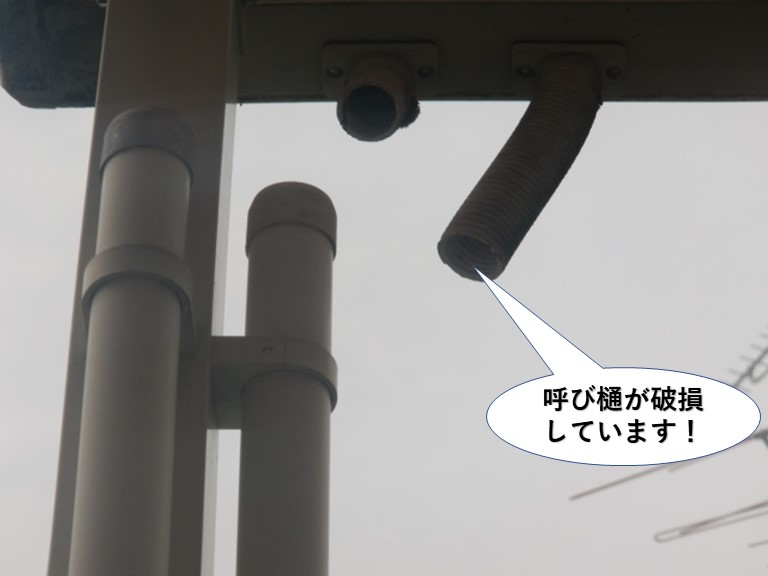 阪南市の呼び樋が破損しています