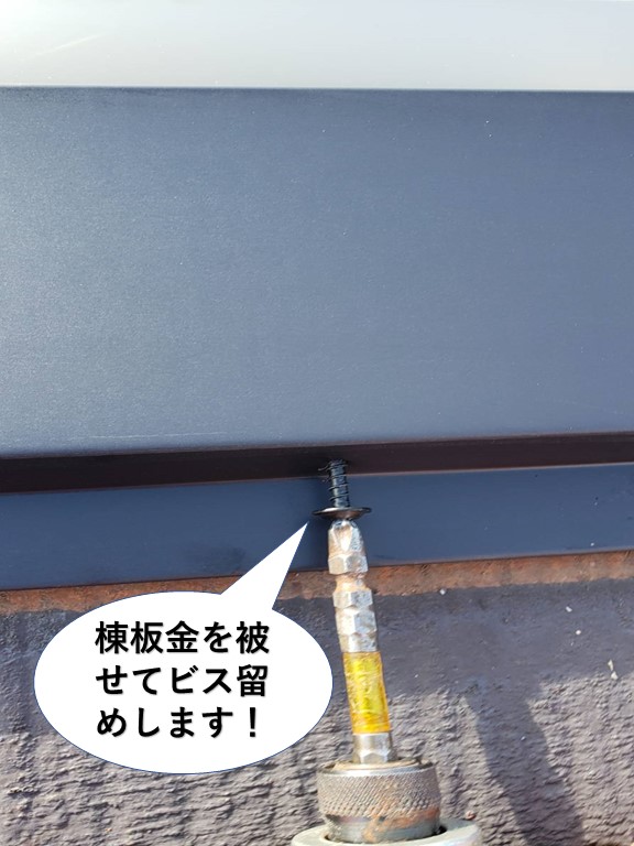 岸和田市の棟に棟板金を被せてビス留めします