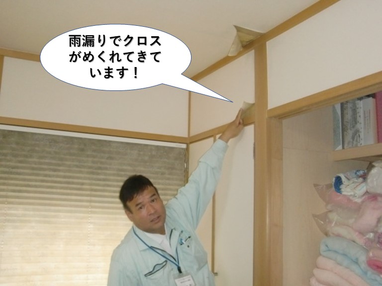 岸和田市の1階の和室が雨漏りでクロスがめくれてきています