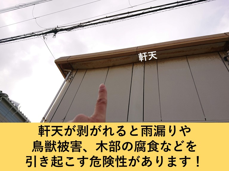 岸和田市の軒天が剥がれると様々な二次被害を引き起こします