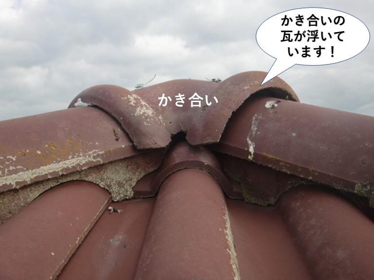 熊取町のかき合いの瓦が浮いています