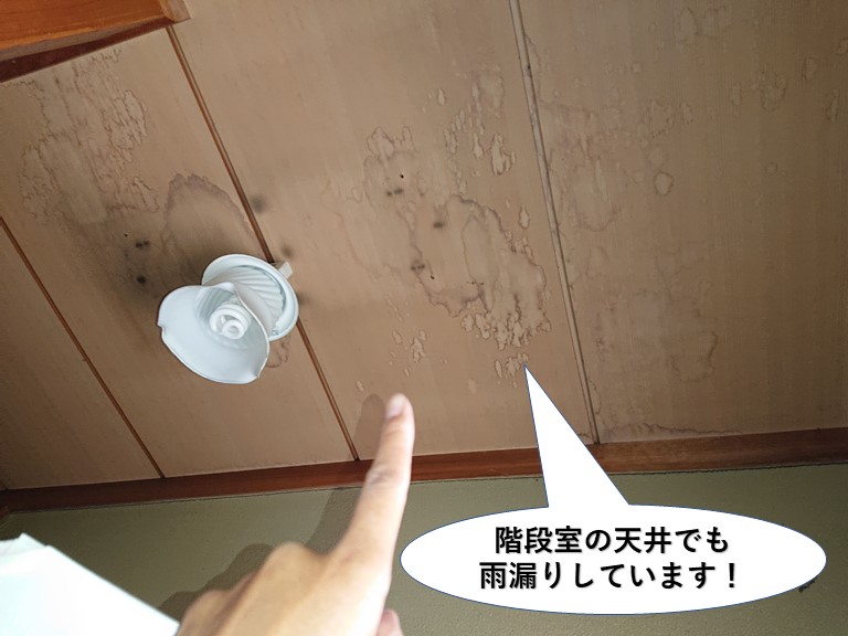 泉佐野市の階段室の天井でも雨漏りしています