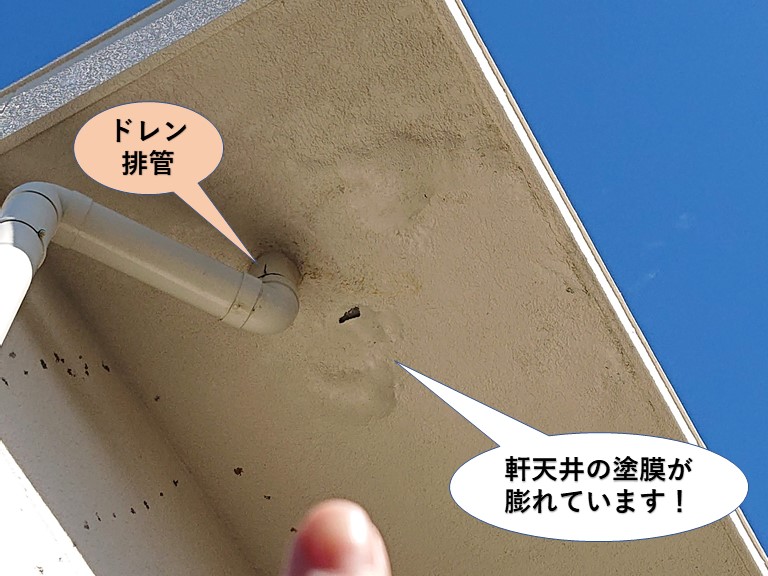 泉佐野市の陸屋根の軒天井の塗膜が膨れています