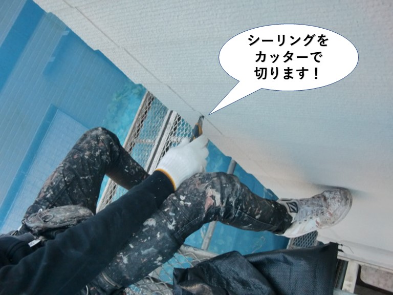 貝塚市のシーリングをカッターで切ります