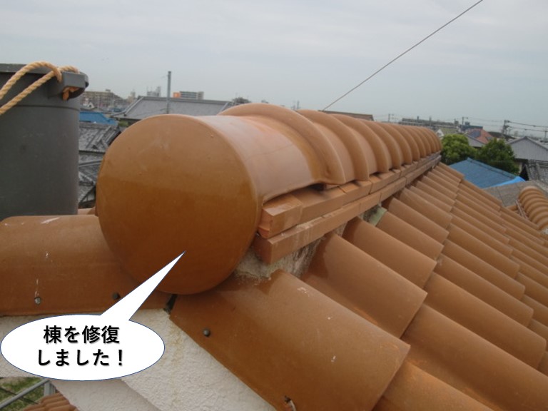 和泉市のドーマーの棟を修復しました