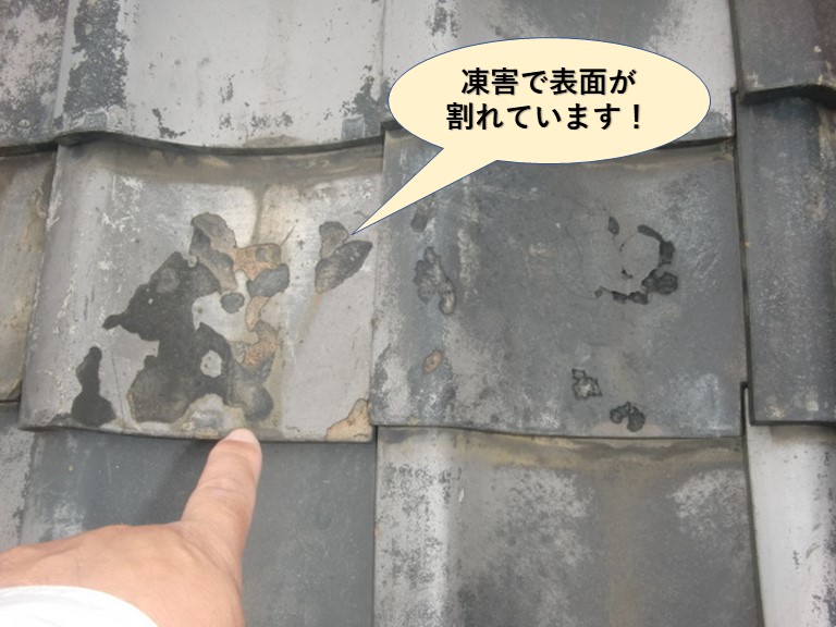 岸和田市の瓦が凍害で割れています