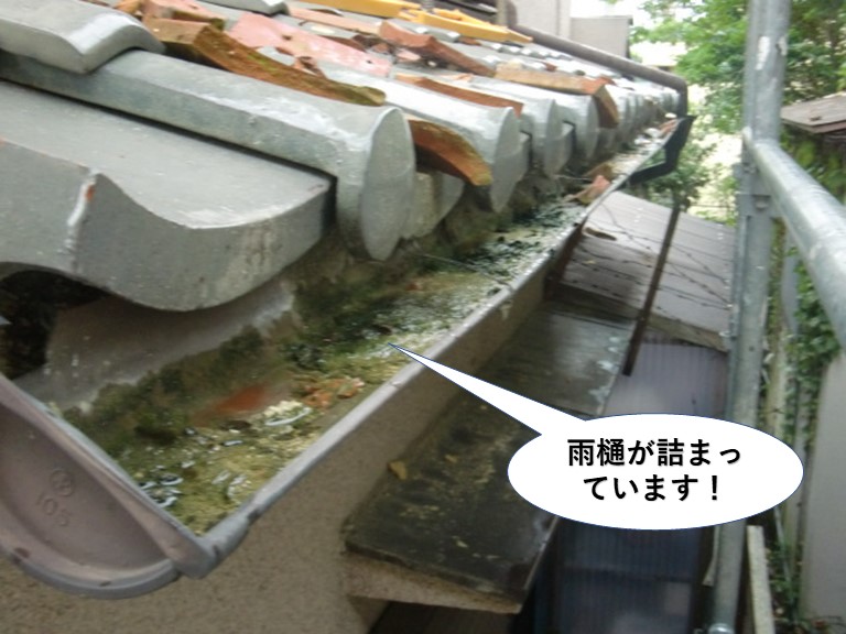 泉佐野市の下屋の雨樋が詰まっています