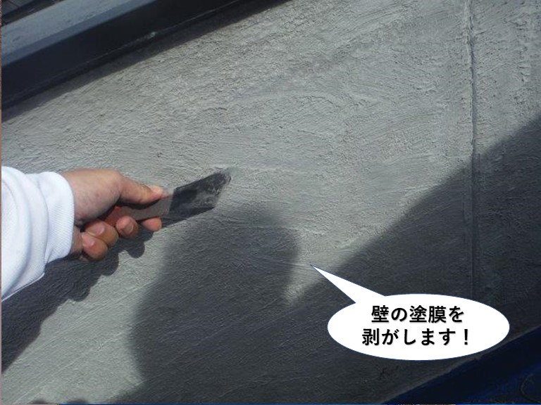 熊取町の壁の塗膜を剥がします