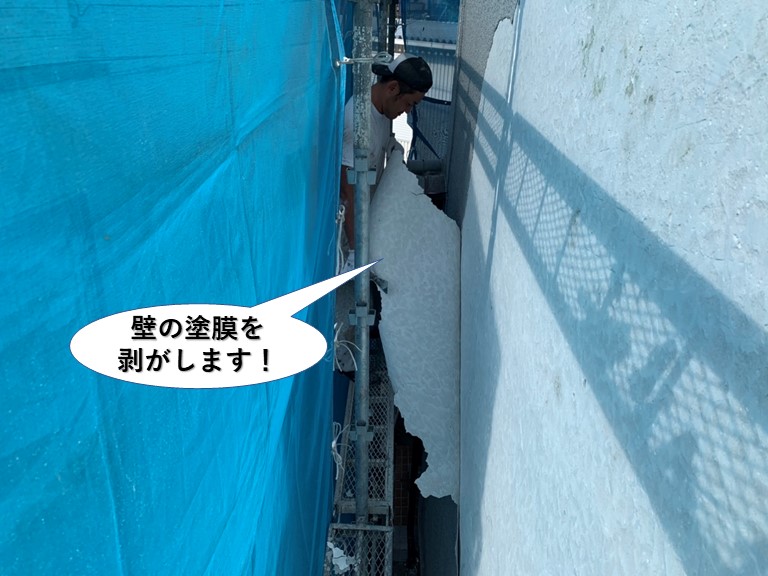 泉南市の外壁の塗膜を剥がします