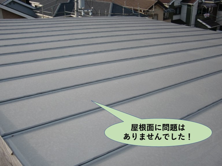 貝塚市の屋根面に問題はありません