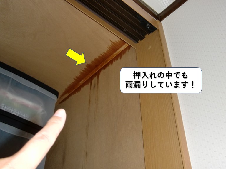 岸和田市の押入れの中でも雨漏りしています