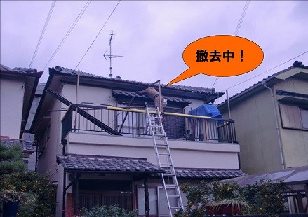 岸和田市箕土路町のベランダテラス屋根入替工事で雨漏り解消