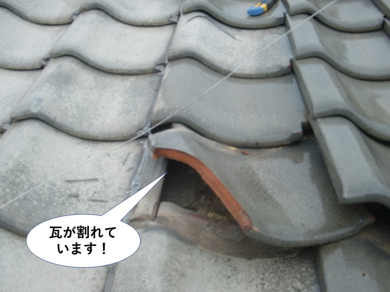 泉佐野市の瓦が割れて周囲もズレています