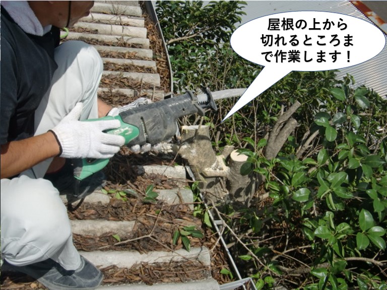 岸和田市の倉庫の屋根の上から切れるところまで作業します