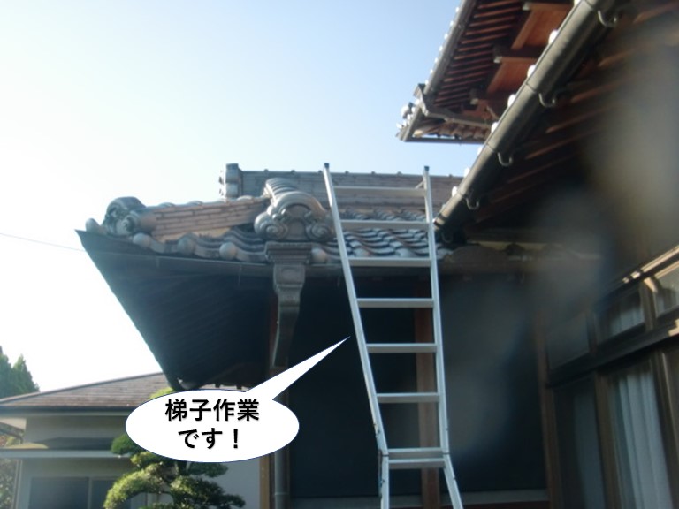 阪南市で梯子作業です