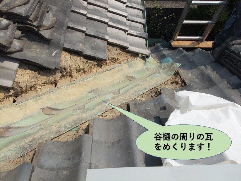 岸和田市の谷樋の周りの瓦をめくります