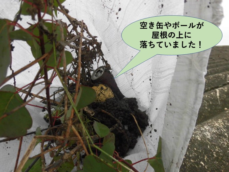 岸和田市のガレージの屋根に空き缶やボールが落ちていました