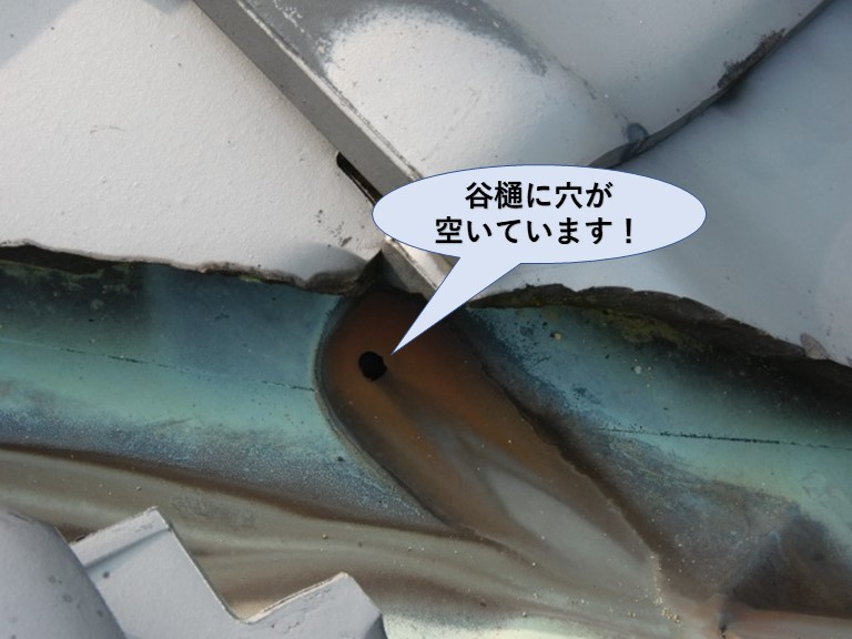 泉南市樽井の屋根の谷樋に穴が空いています！