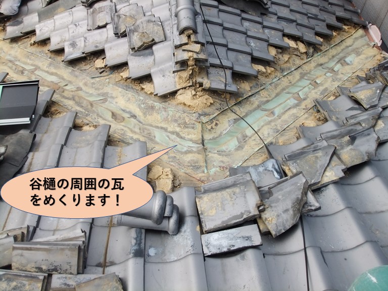 泉大津市の谷樋の周囲の瓦をめくります！