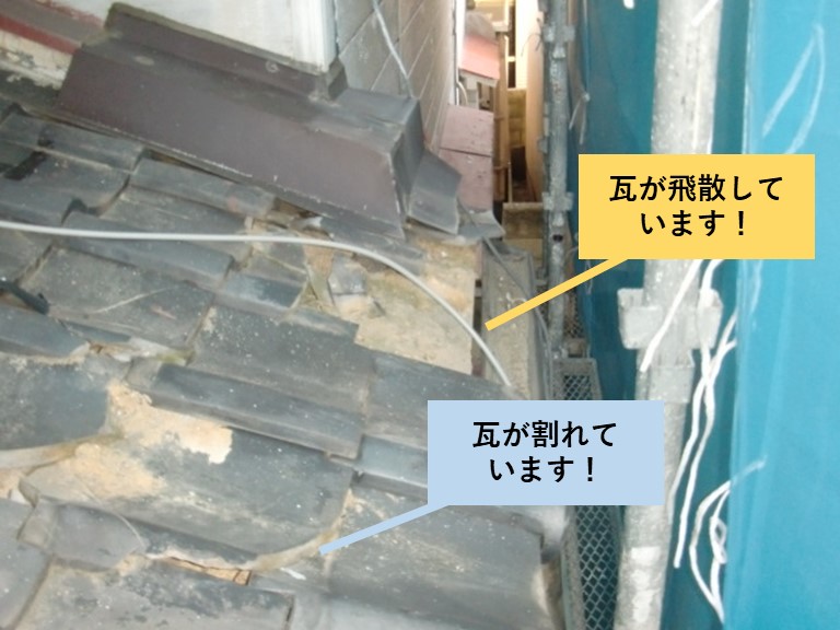 和泉市の下屋の瓦の被害