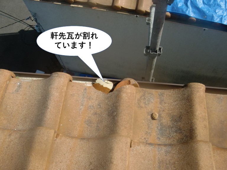 和泉市の軒先瓦が割れています！