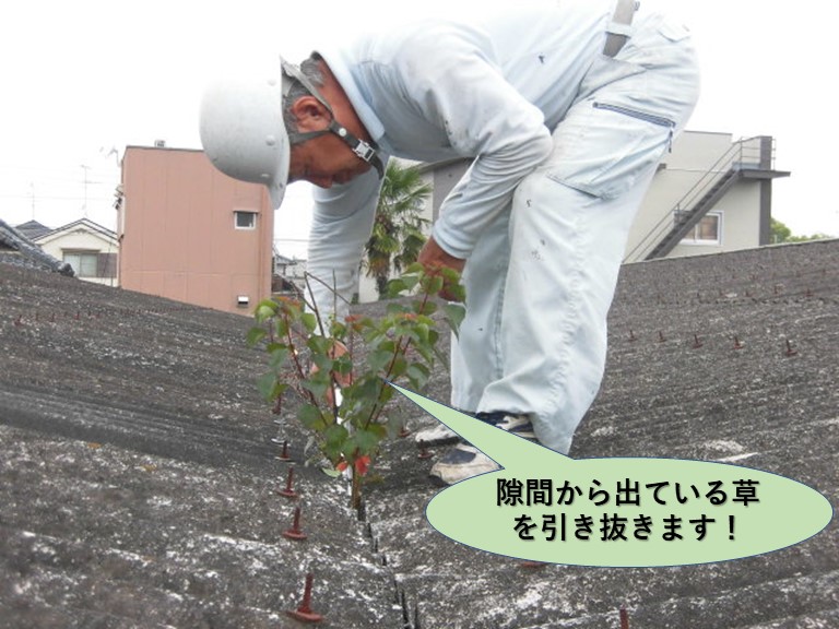 岸和田市のガレージの隙間から出ている草を引き抜きます