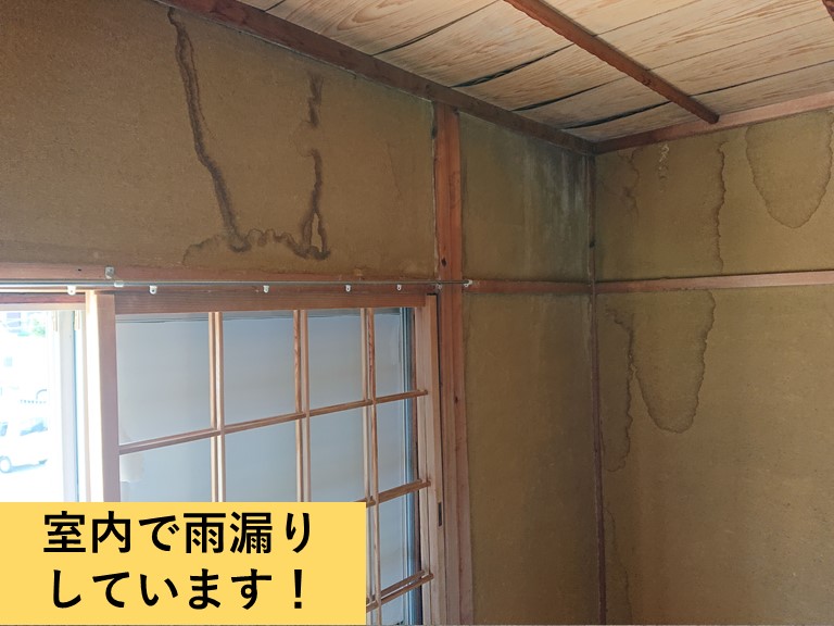 泉大津市の室内で雨漏りしています
