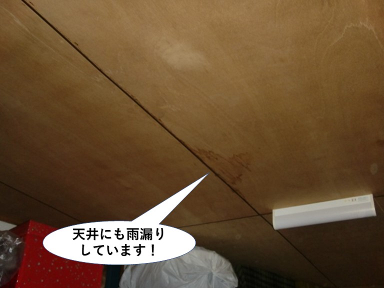 泉北郡忠岡町の天井にも雨漏りしています