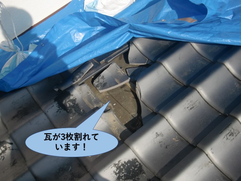岸和田市の下屋の瓦が3枚割れています