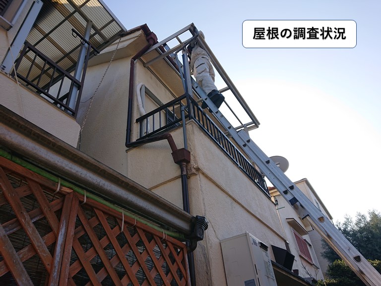 泉大津市の屋根の調査状況