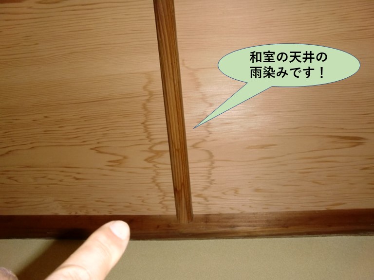 岸和田市の和室の天井の雨染み