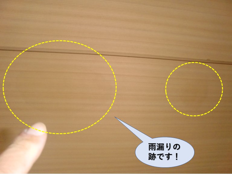 和泉市の天井の雨漏りの跡です！