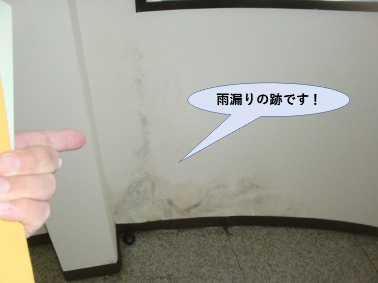 貝塚市の雨漏りの跡です！