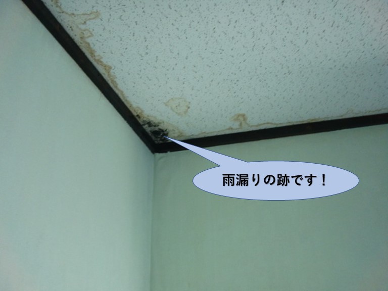岸和田市の二階のお部屋の雨漏りの跡です！