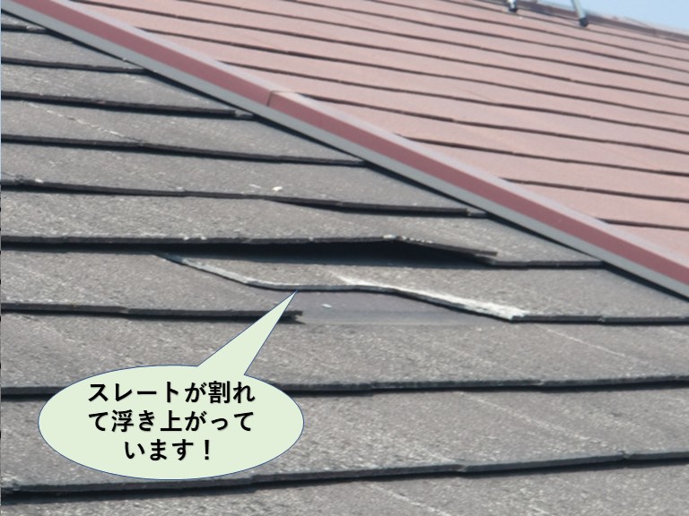 泉大津市のスレートが割れて浮き上がっています