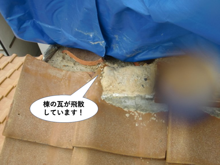 和泉市の棟の瓦が飛散しています