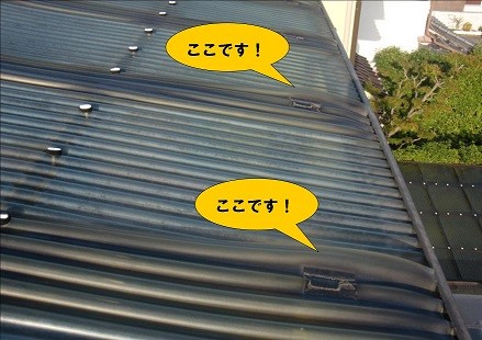 岸和田市箕土路町のベランダテラス屋根入替工事で雨漏り解消