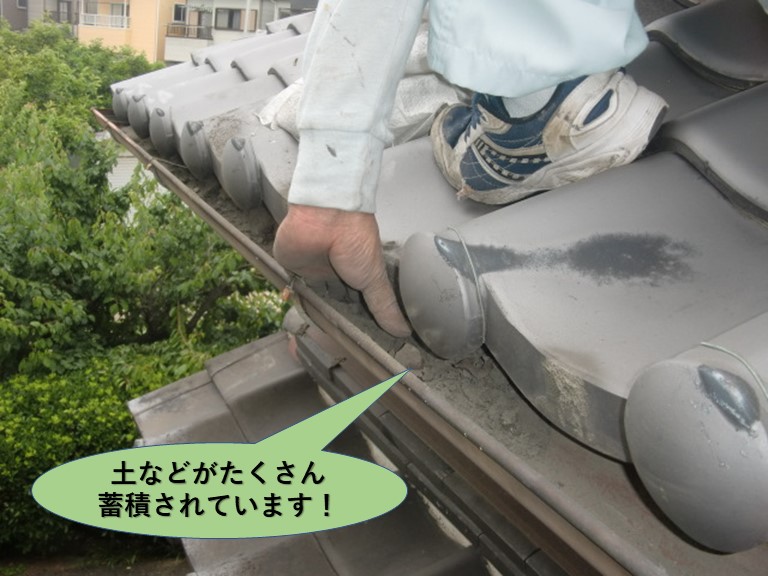 岸和田市の樋に土などがたくさん蓄積されています