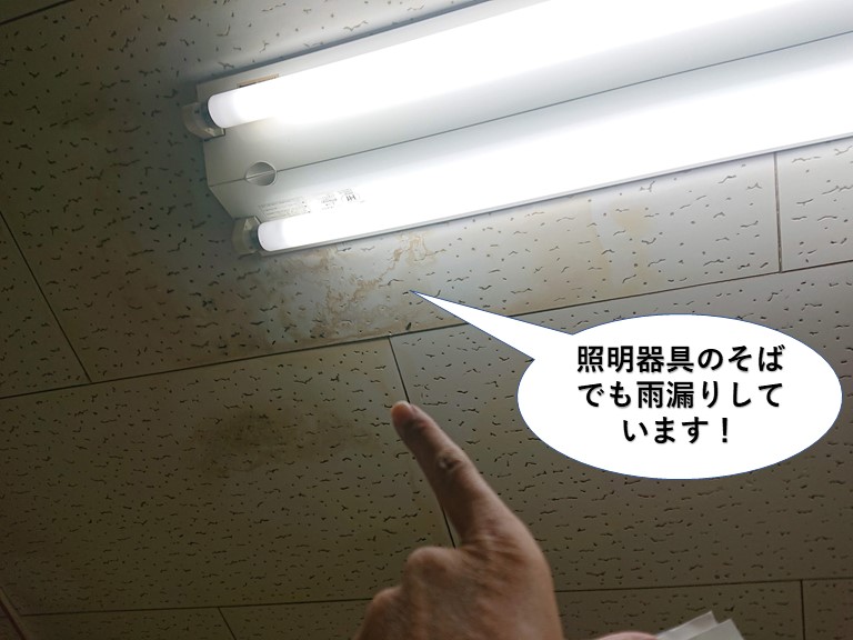 阪南市の事務所の照明器具のそばでも雨漏りしています