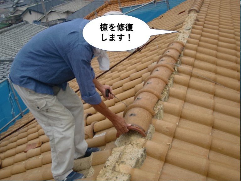 和泉市の棟を修復します
