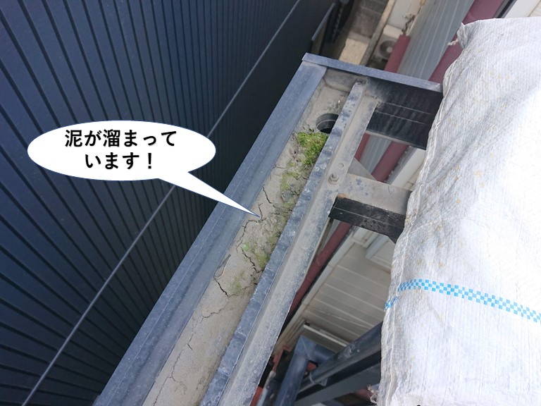 泉佐野市のテラスの樋に泥が溜まっています