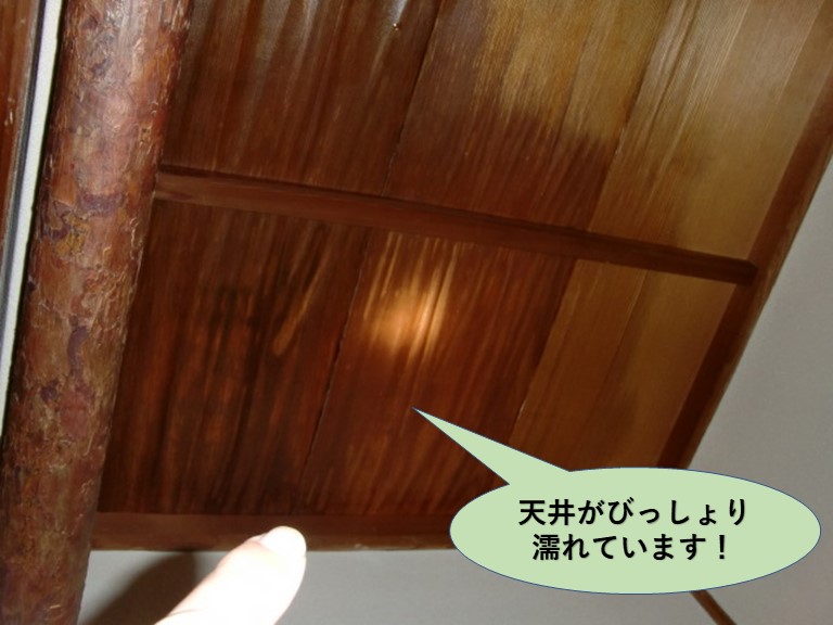 岸和田市の玄関天井がびっしょり濡れています