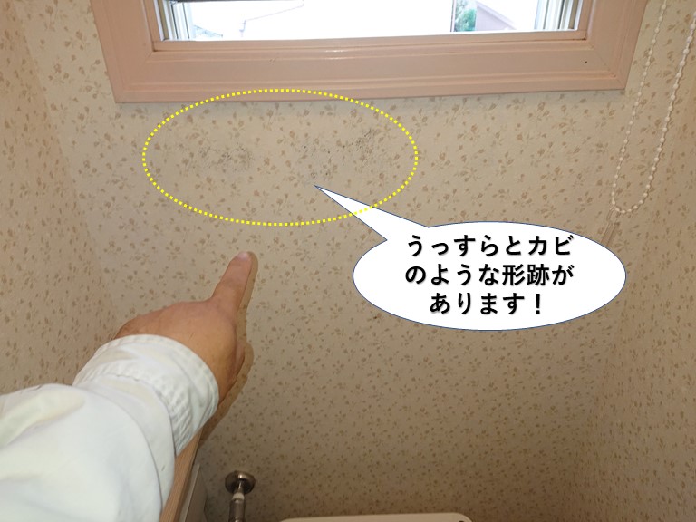 泉南市のトイレの壁にカビのような形跡があります