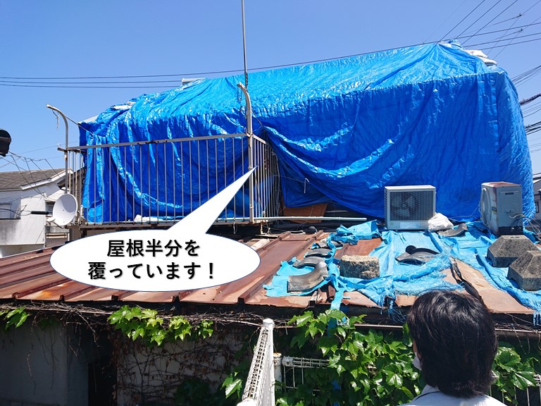 熊取町の屋根半分を覆っています