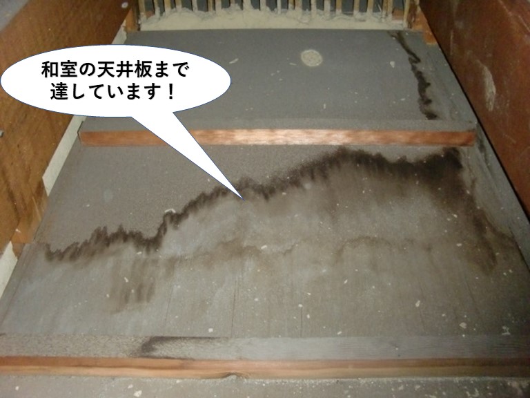 貝塚市の和室の天井板まで達しています