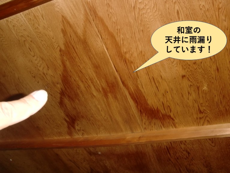 貝塚市の和室の天井に雨漏りしています