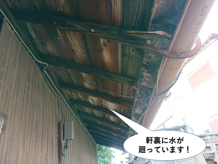 貝塚市の玄関屋根の軒裏に水が廻っています