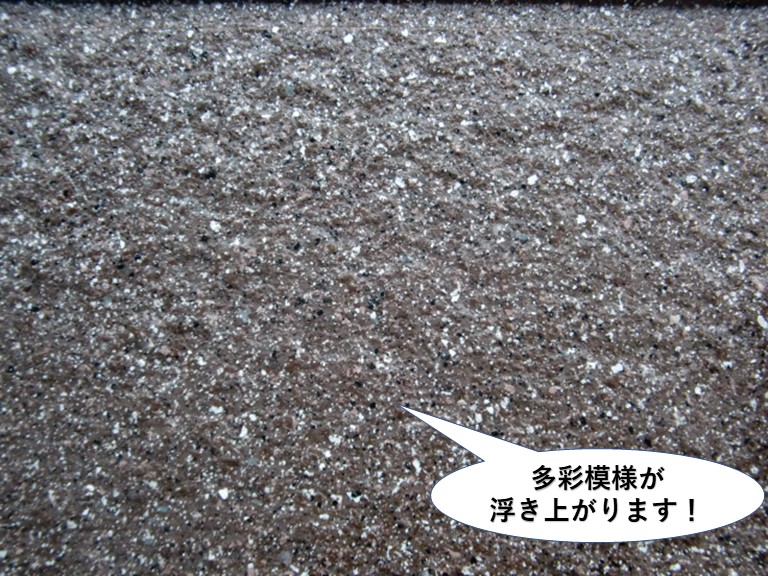 和泉市の外壁に多彩模様が浮き上がります