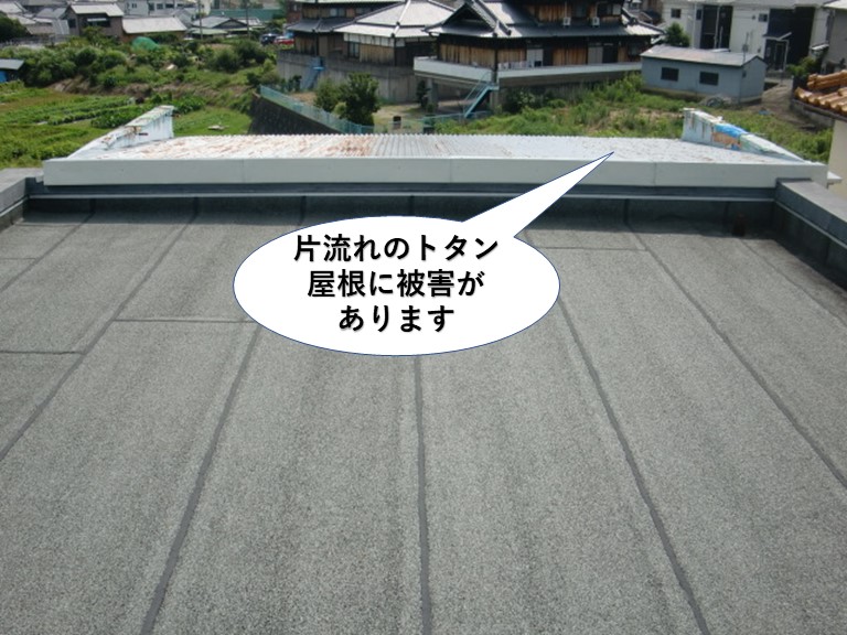 泉佐野市の片流れのトタン屋根に被害があります